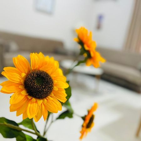 Albis Apartment 1 Тирана Екстериор снимка