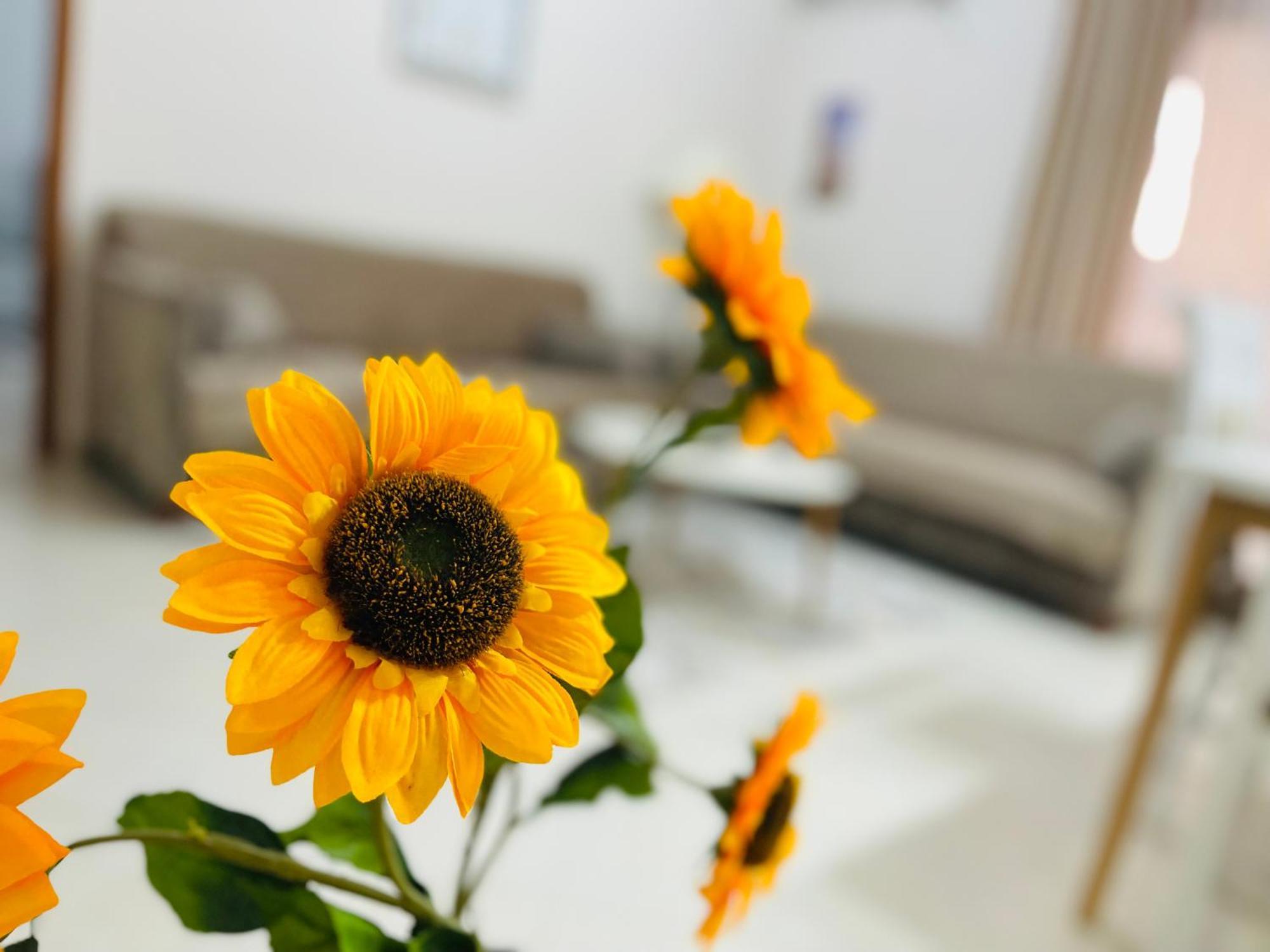 Albis Apartment 1 Тирана Екстериор снимка